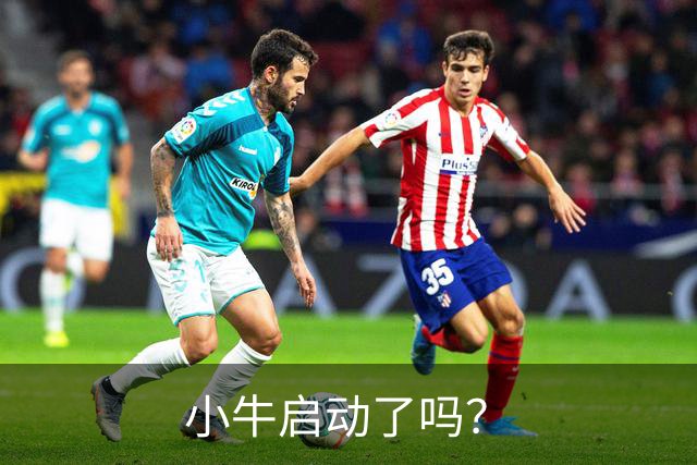 小牛启动了吗？
